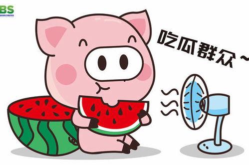 八卦吃瓜搞笑动画片视频,动画短视频带你领略趣味八卦世界