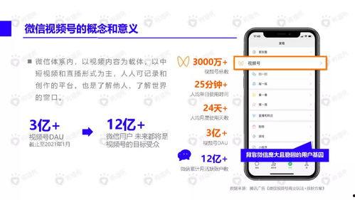 女孩寺庙吃瓜视频下载,女孩吃瓜视频走红网络，下载热潮席卷而来