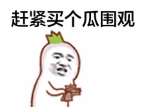 求抱抱吃瓜群众视频,揭秘网络视频背后的情感共鸣