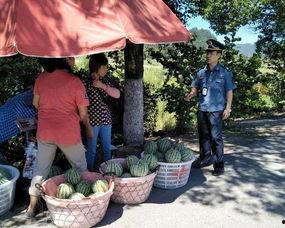 吃瓜群众小木屋视频,吃瓜群众视角下的真实生活点滴